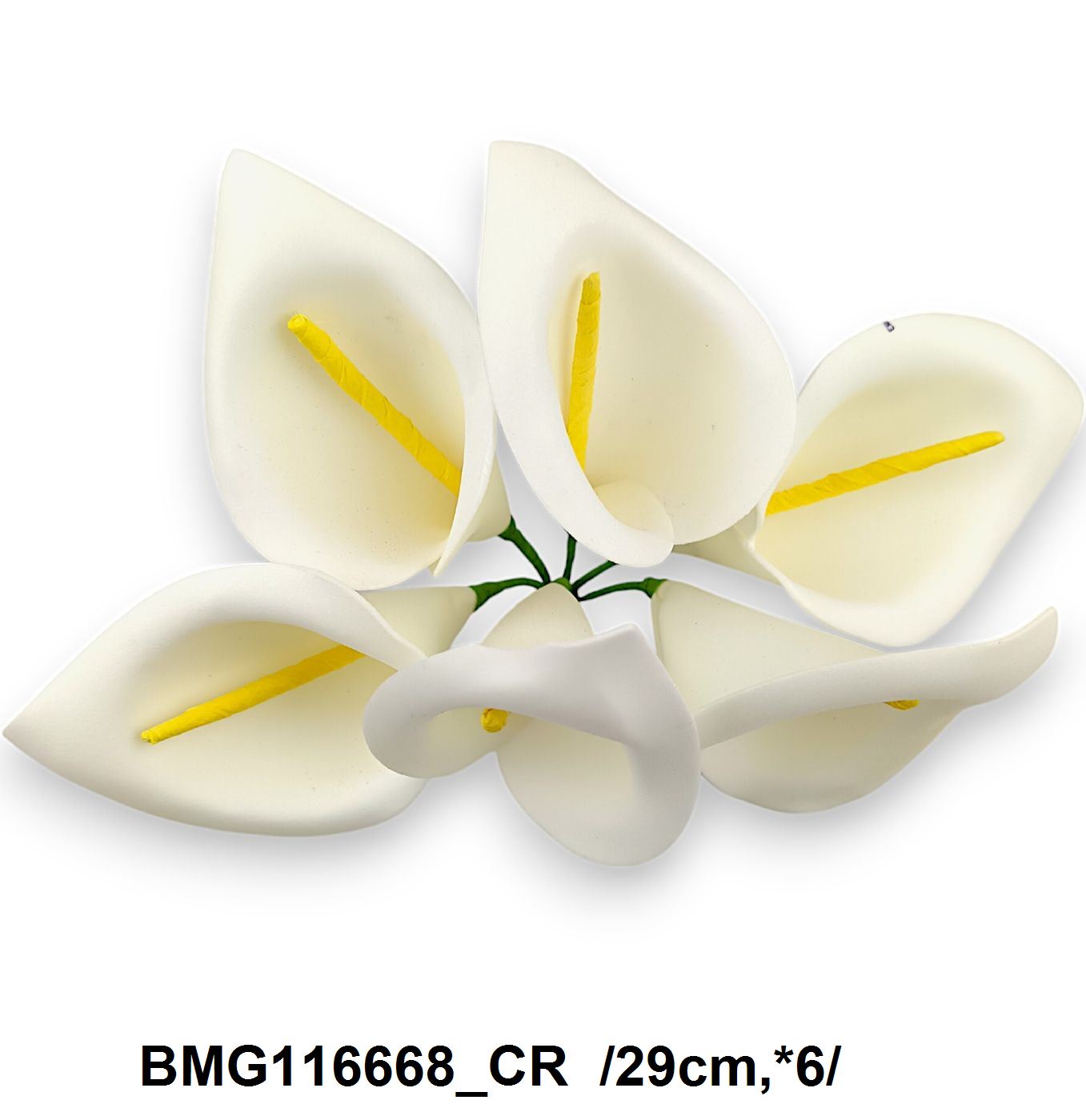 BMG116668_CR