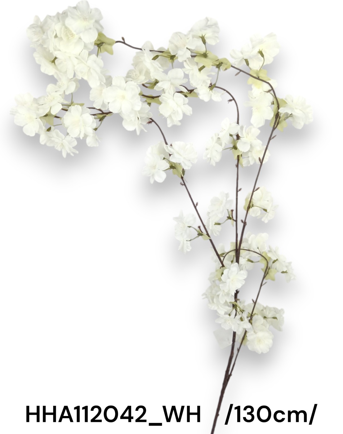 HHA112042_WH