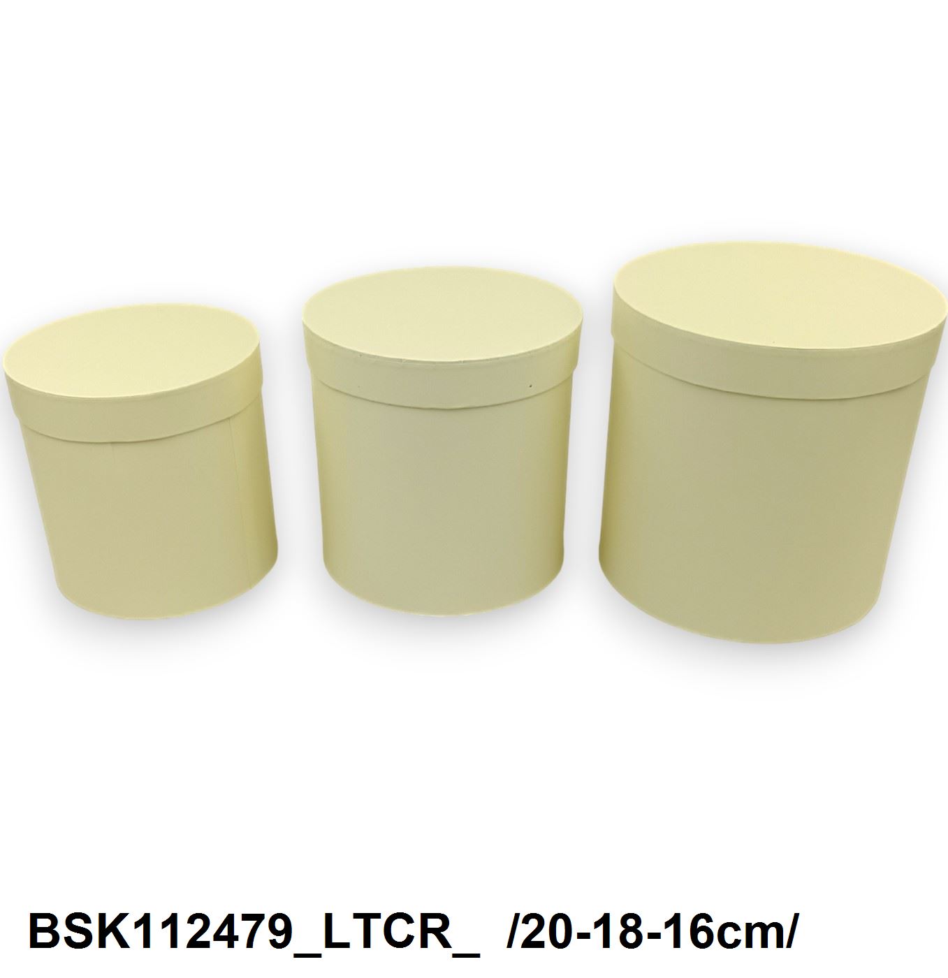 BSK112479_LTCR_
