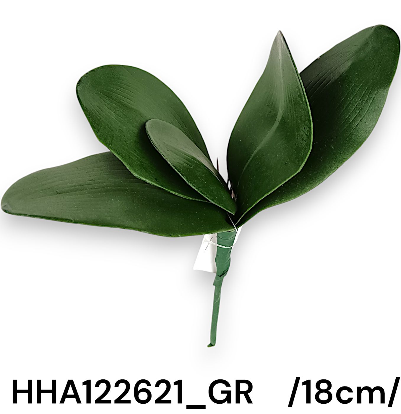 HHA122621_GR