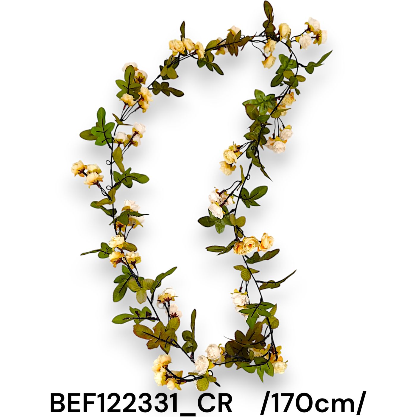BEF122331_CR