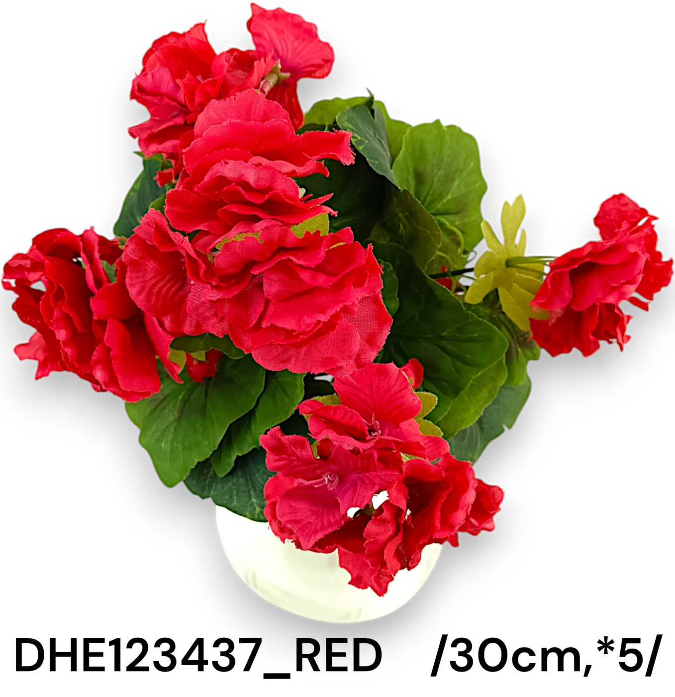 DHE123437_RED