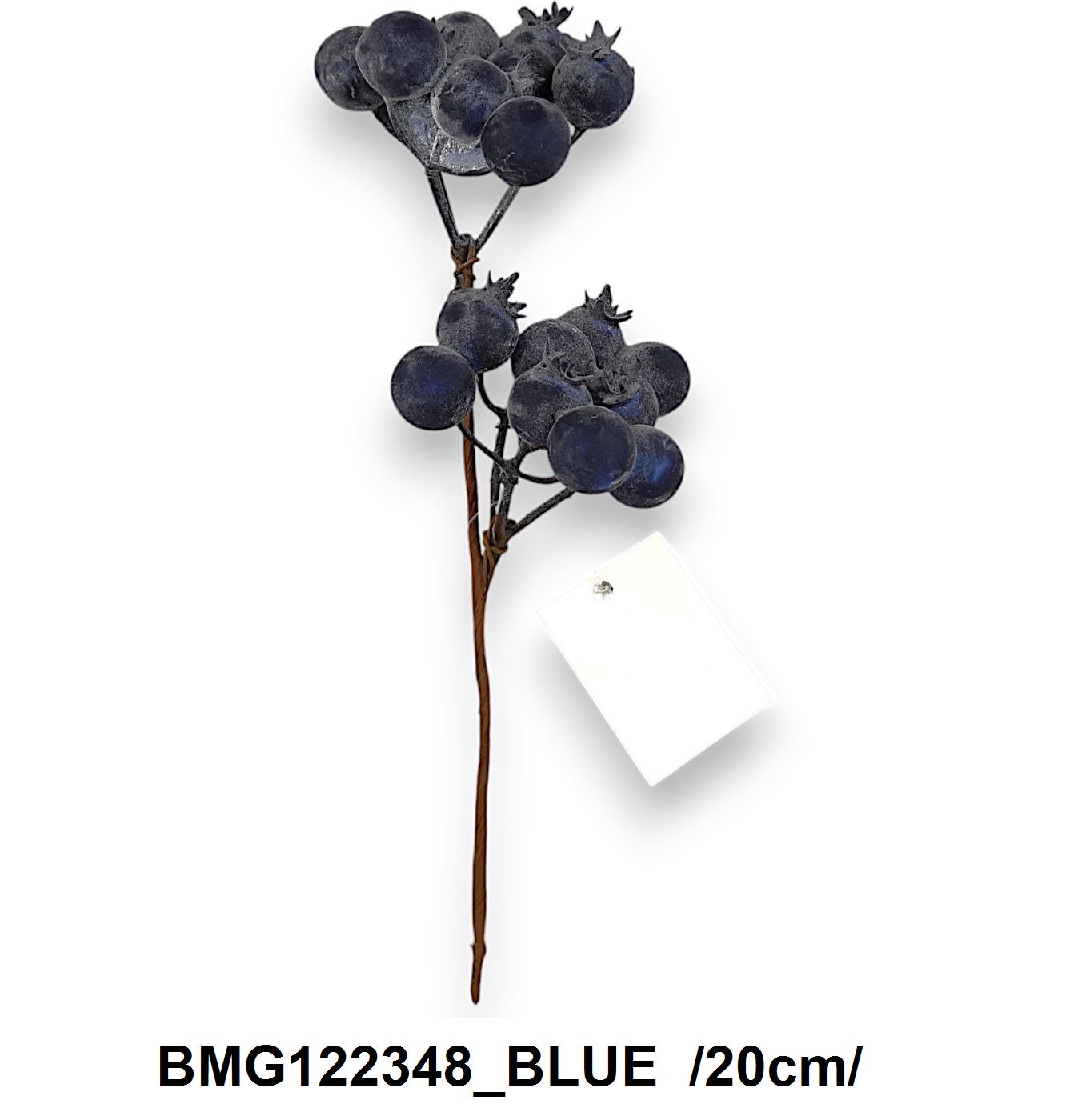 BMG122348_BLUE