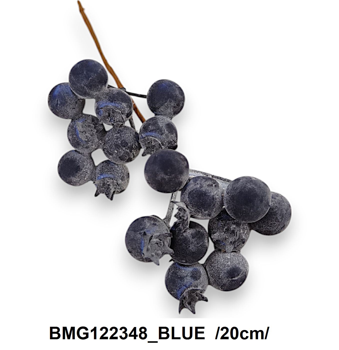 BMG122348_BLUE