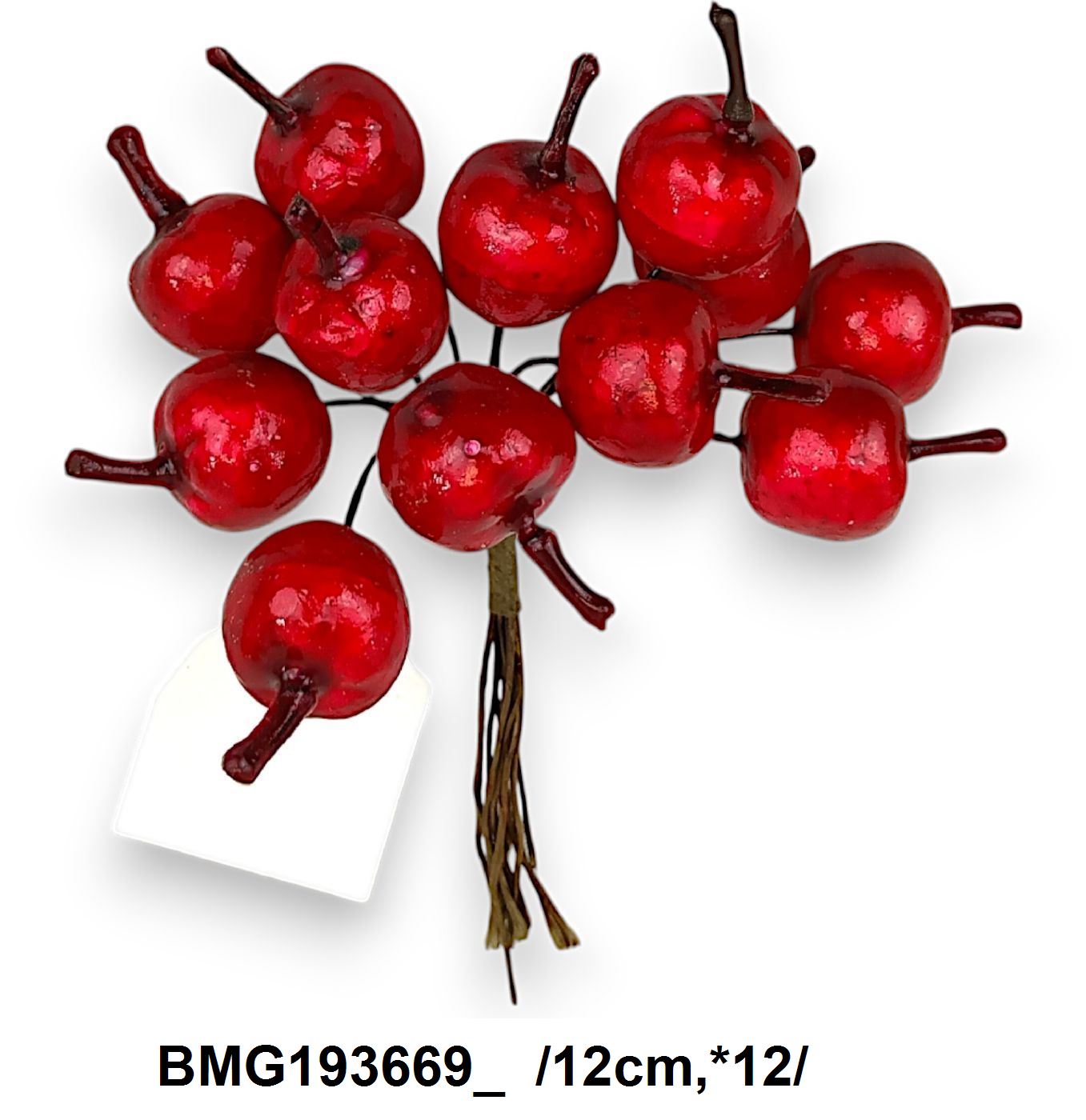 BMG193669_