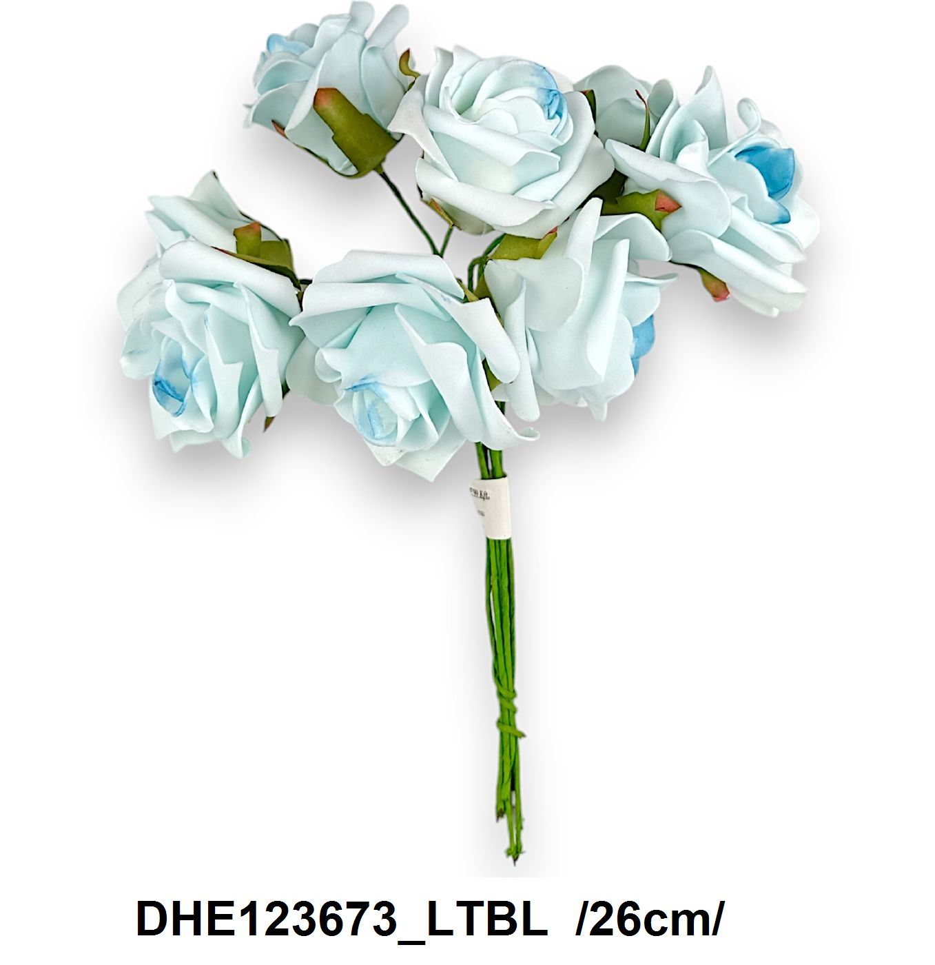 DHE123673_LTBL