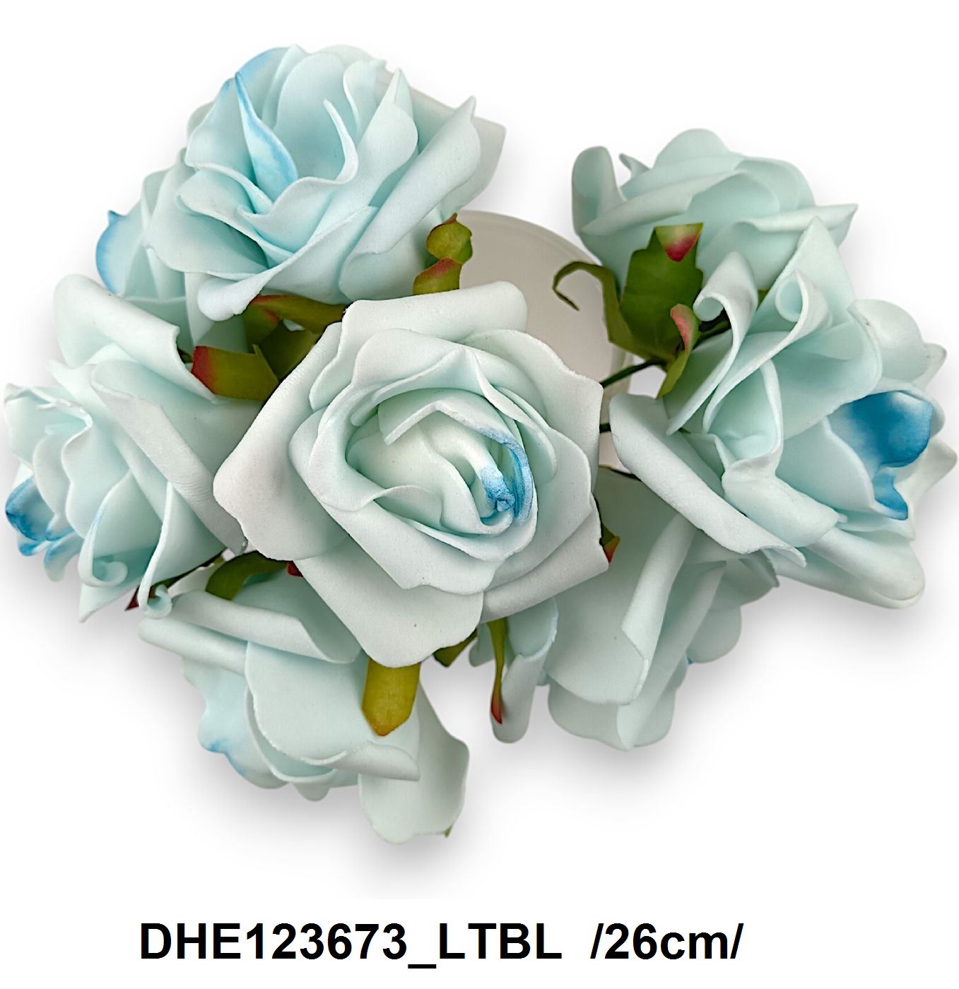 DHE123673_LTBL