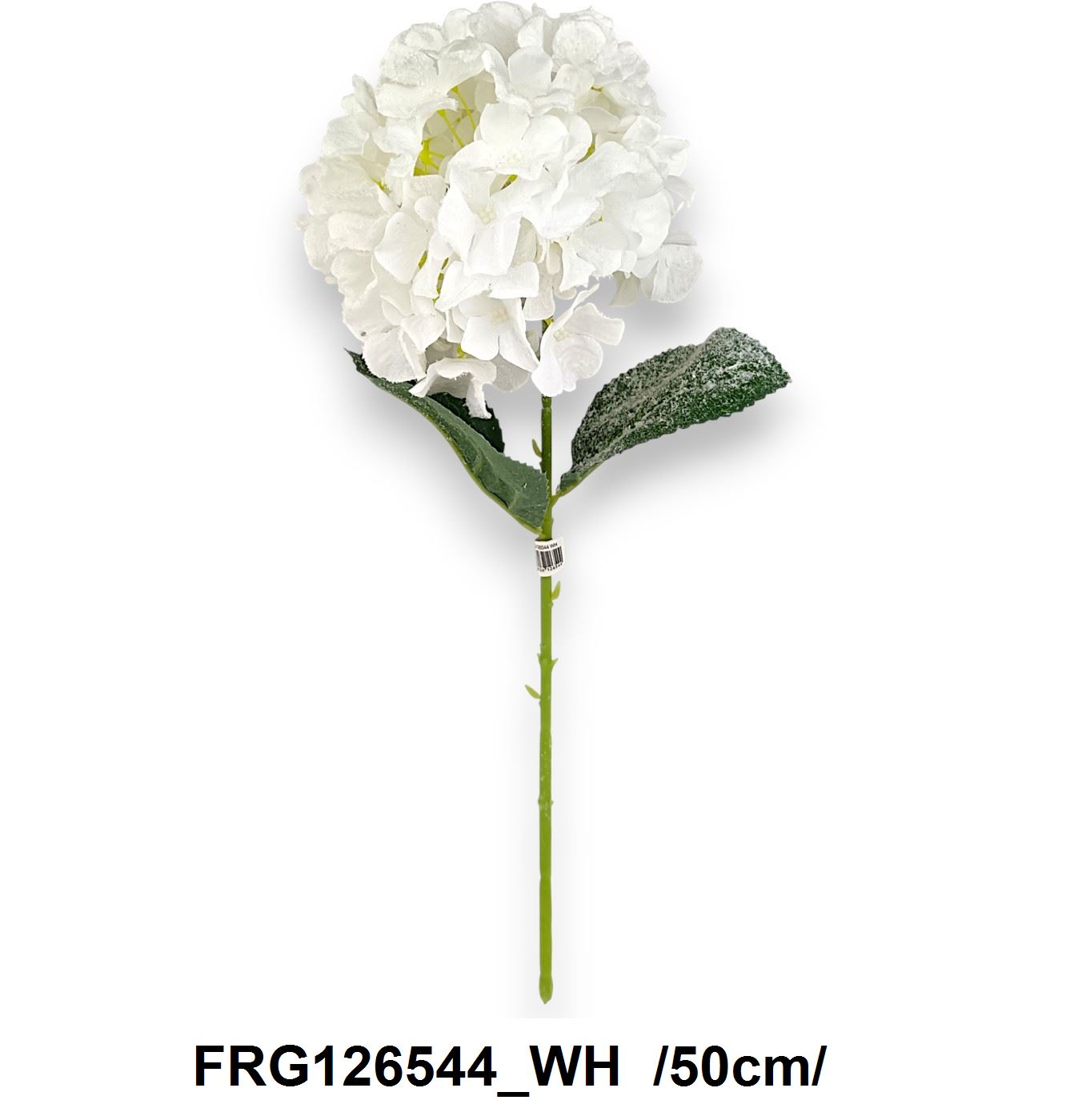 FRG126544_WH