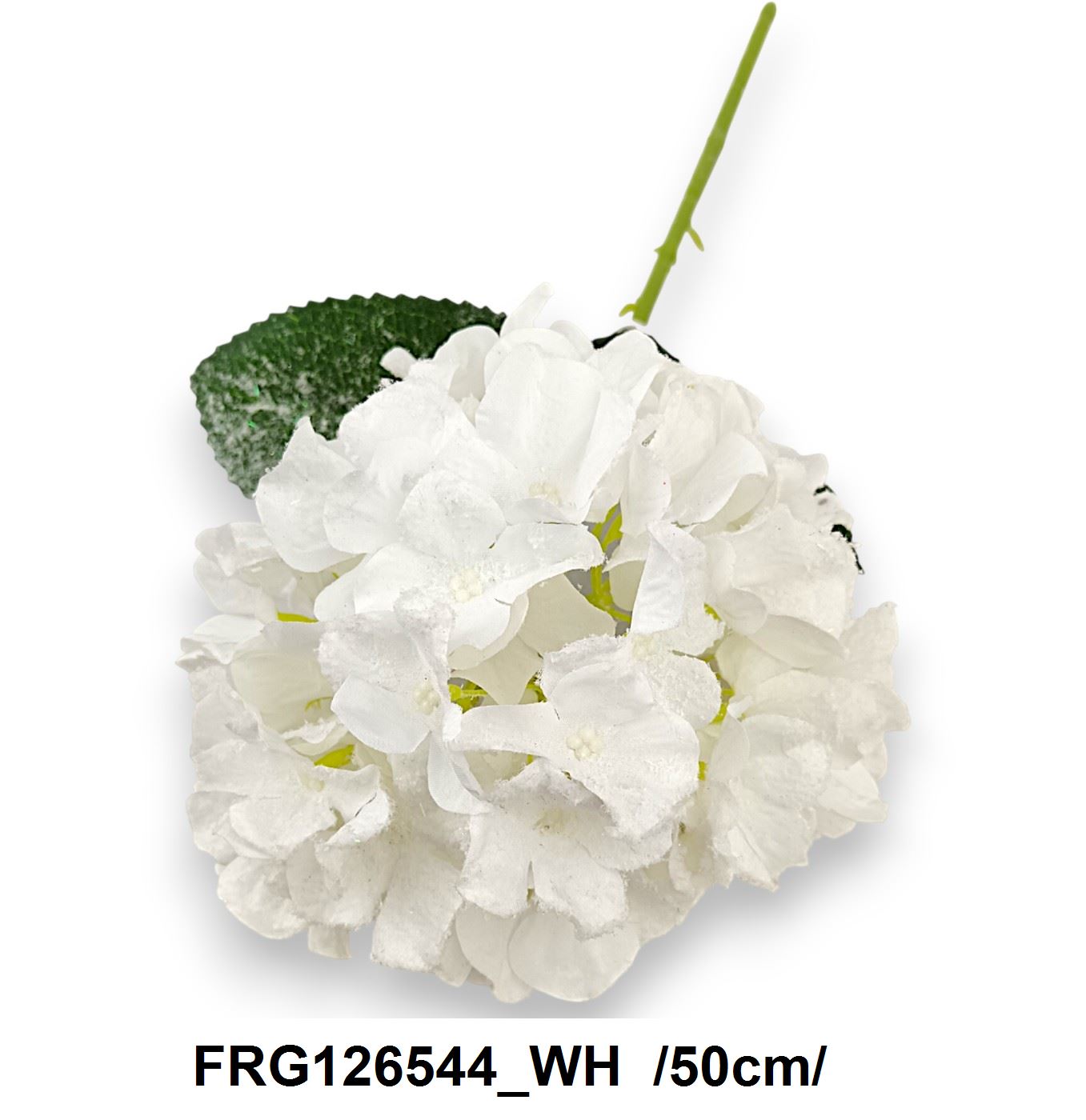 FRG126544_WH