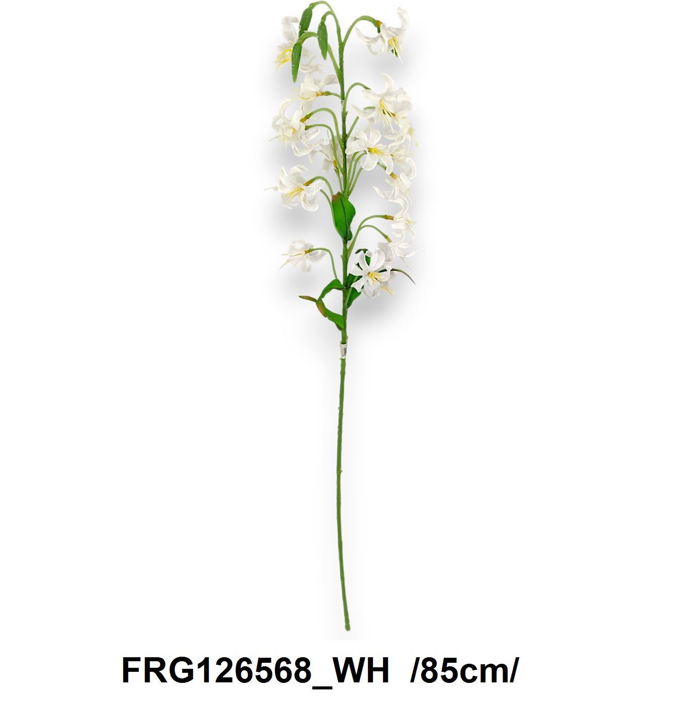 FRG126568_WH