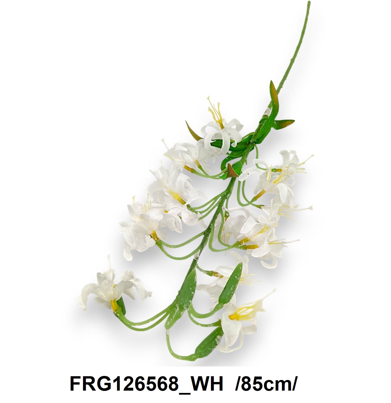 FRG126568_WH