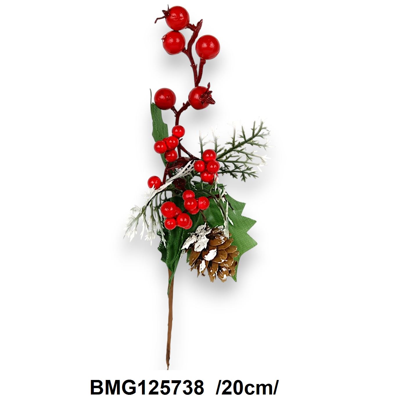 BMG125738