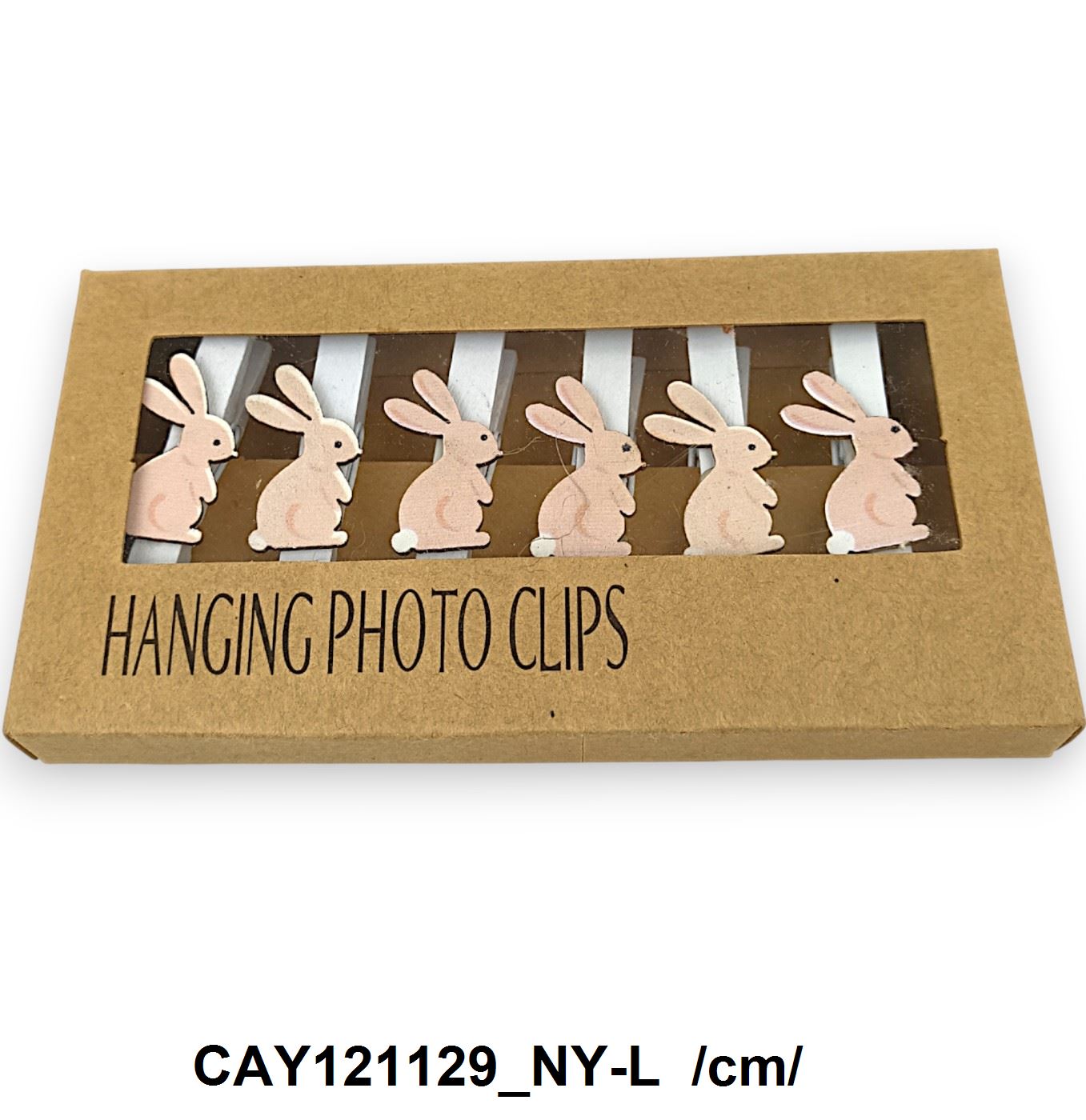 CAY121129_NY-L