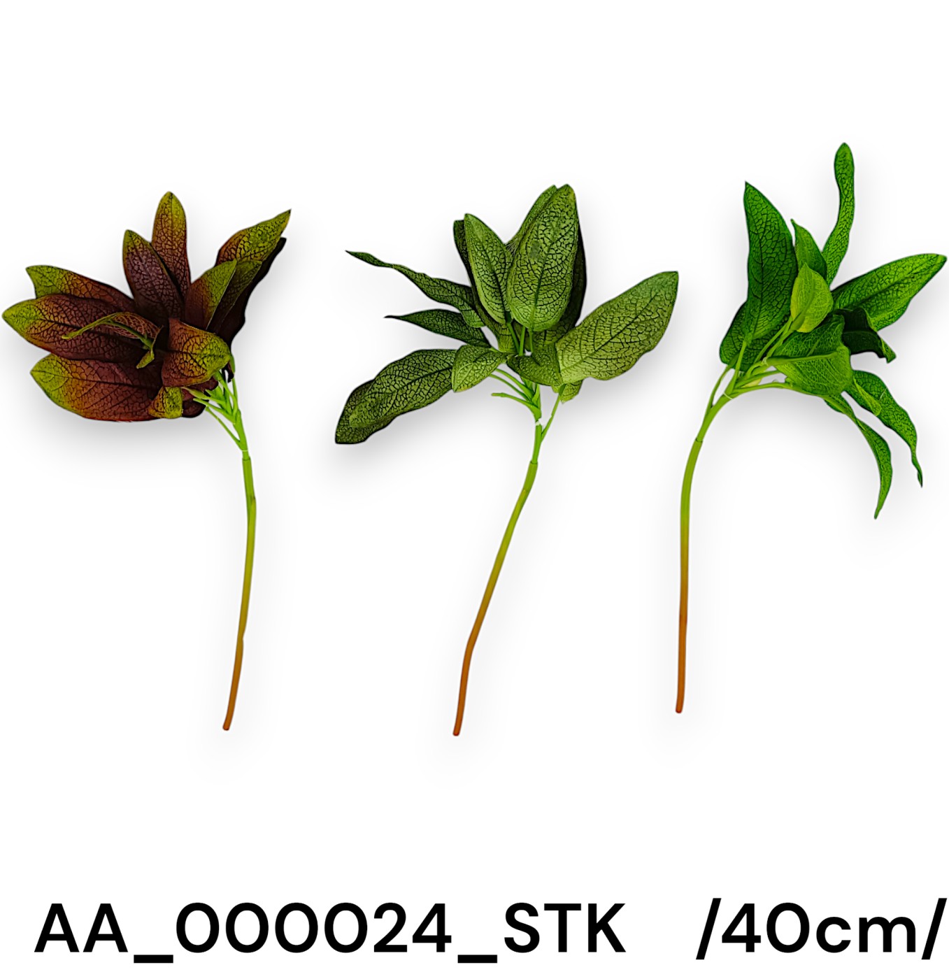 AA_000024_STK