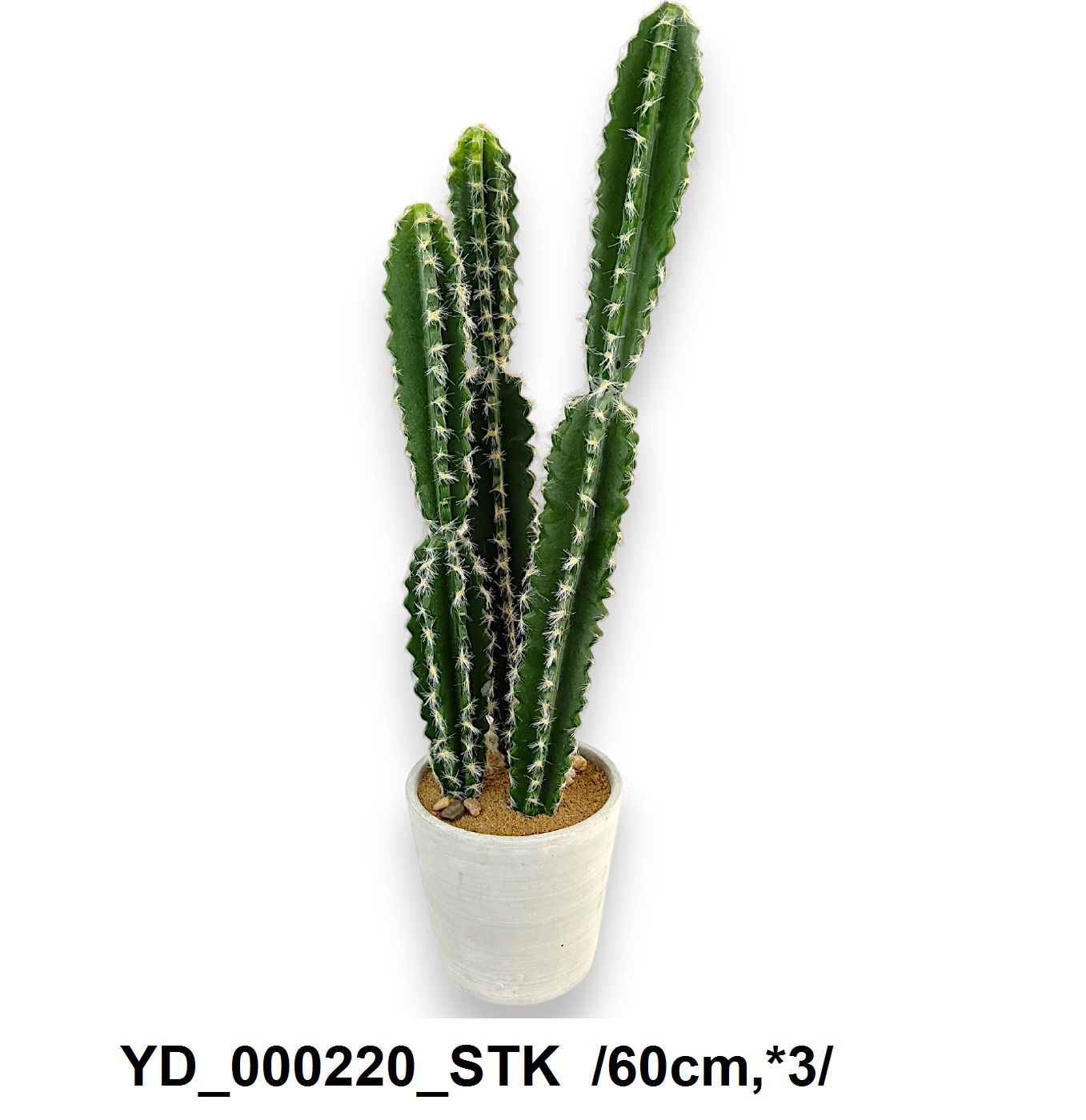 YD_000220_STK
