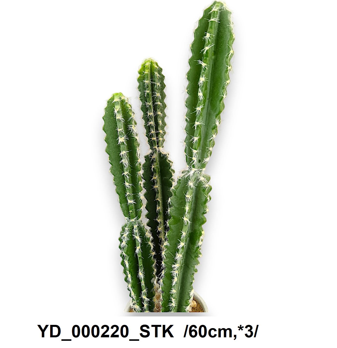 YD_000220_STK