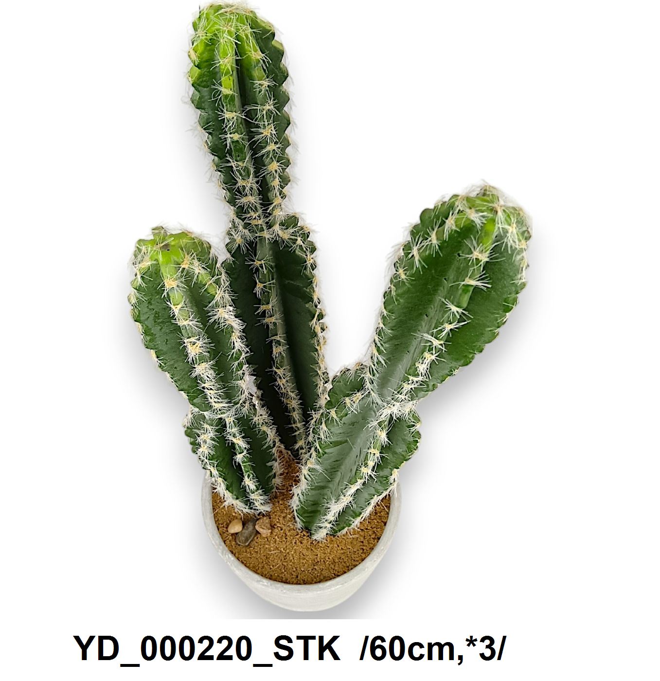 YD_000220_STK