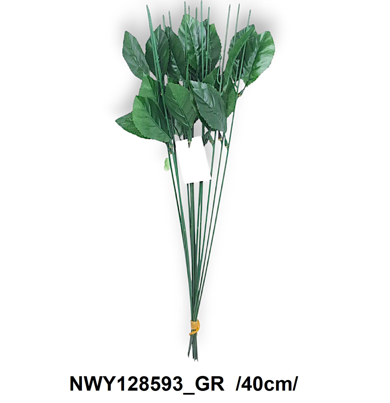 NWY128593_GR