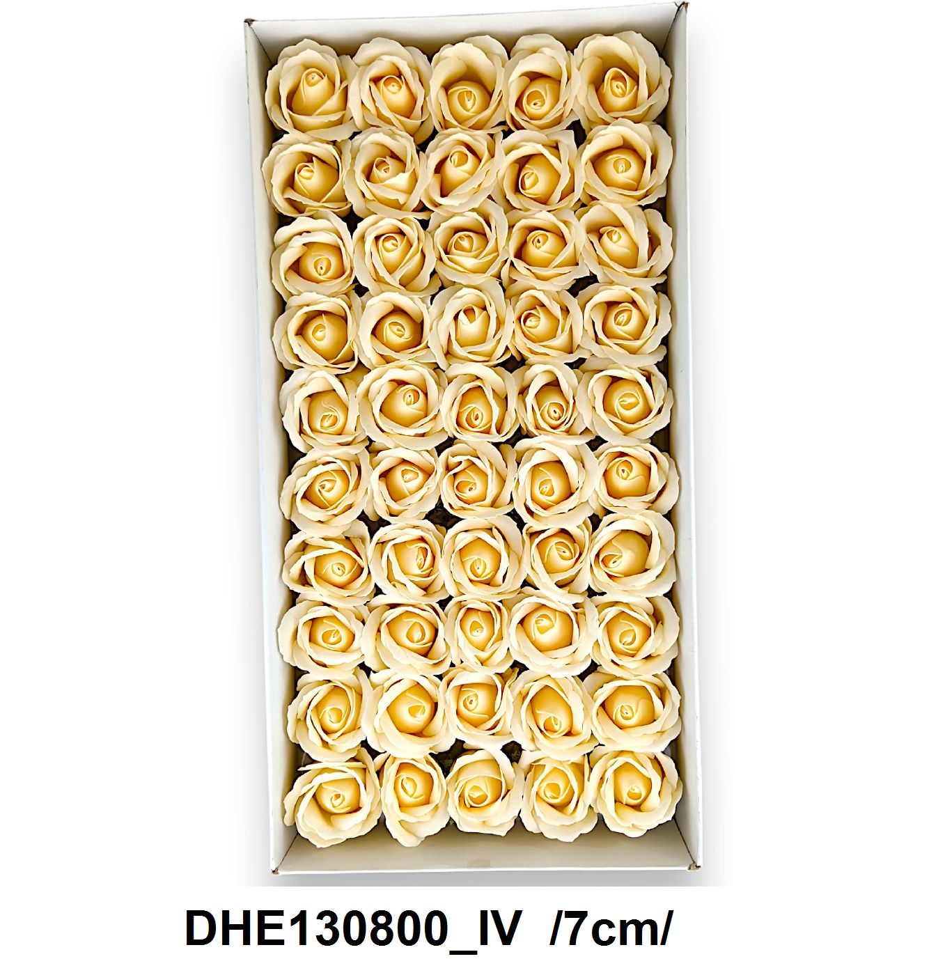 DHE130800_IV