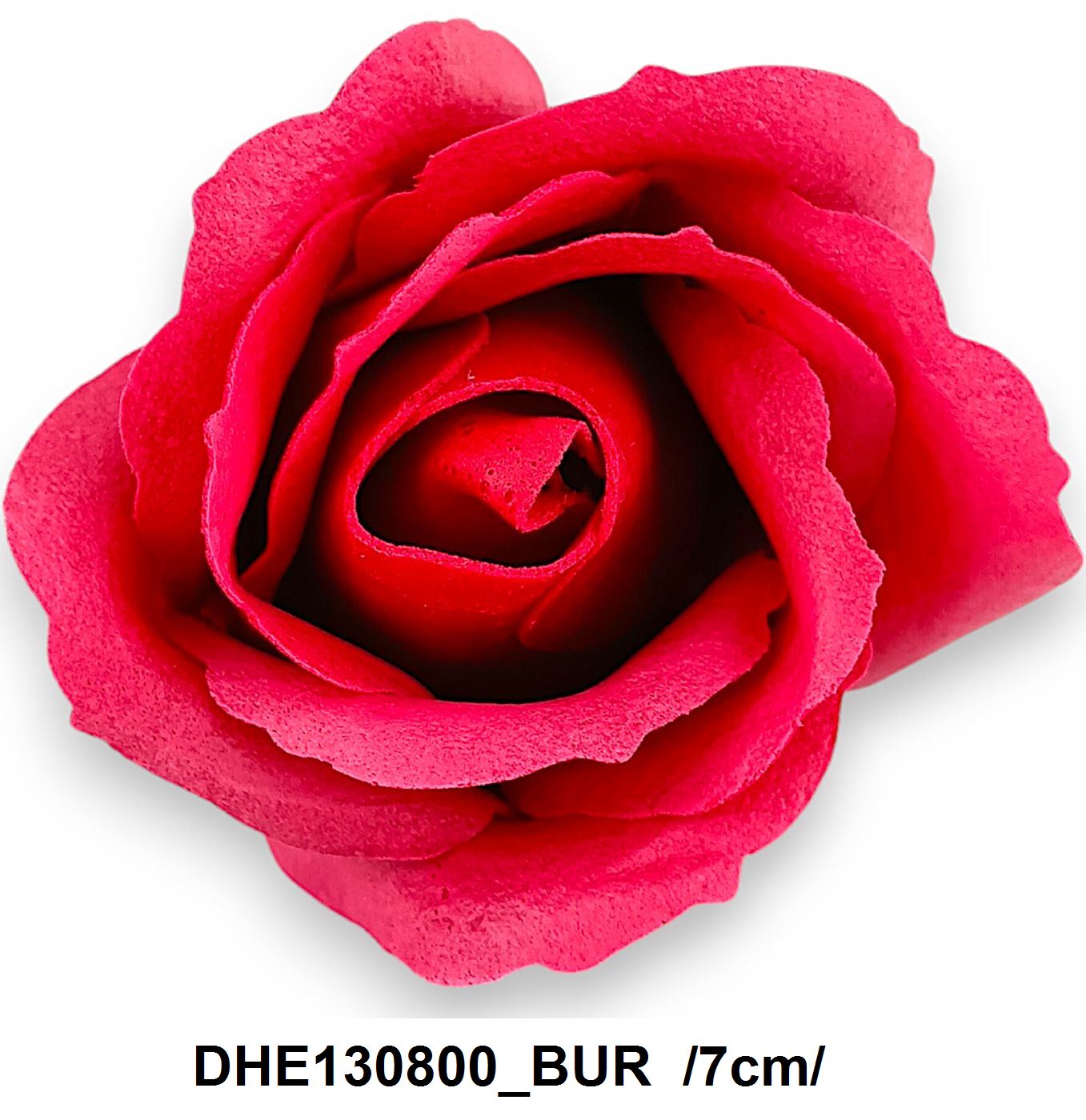 DHE130800_BUR