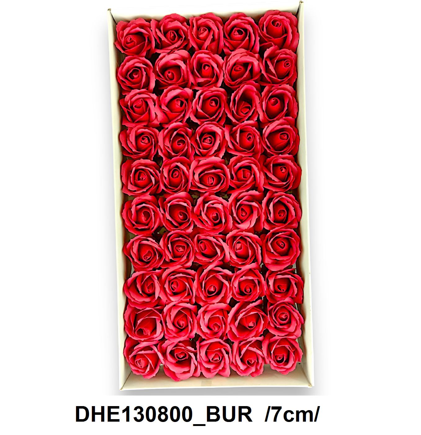 DHE130800_BUR