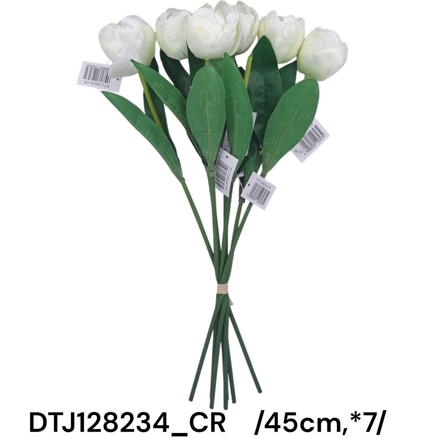 DTJ128234_CR