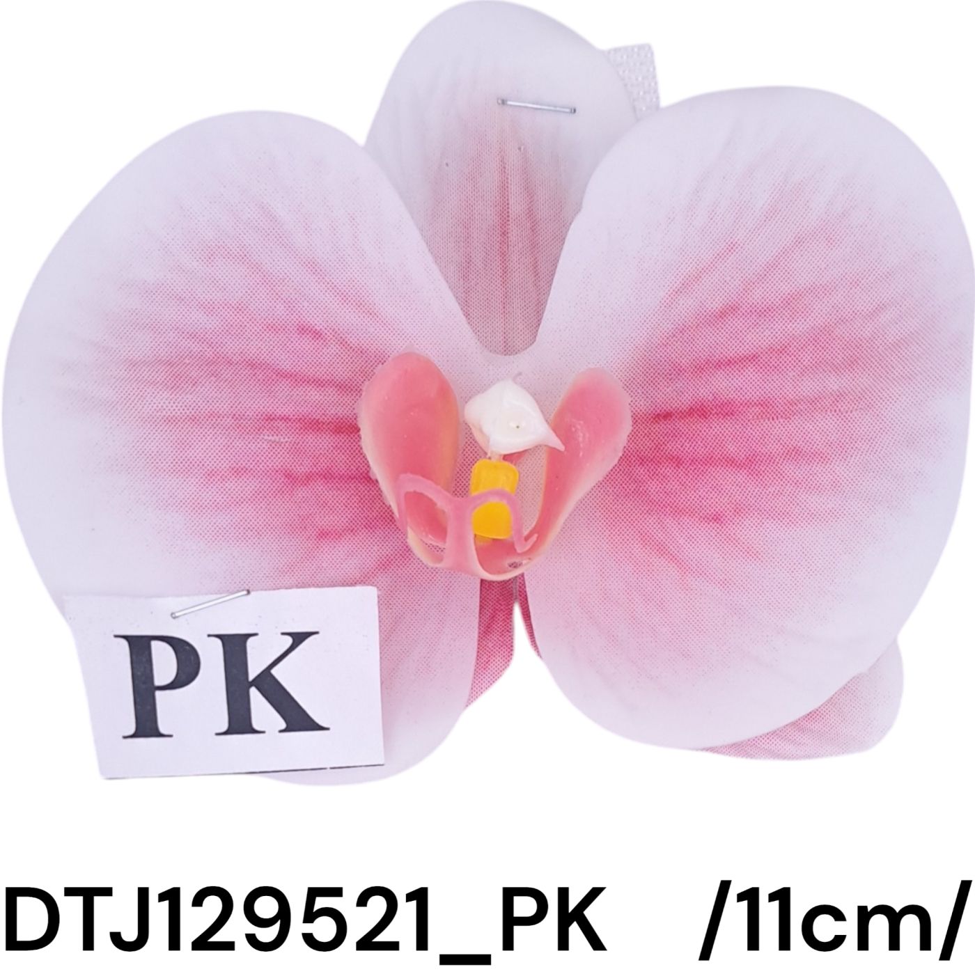 DTJ129521_PK