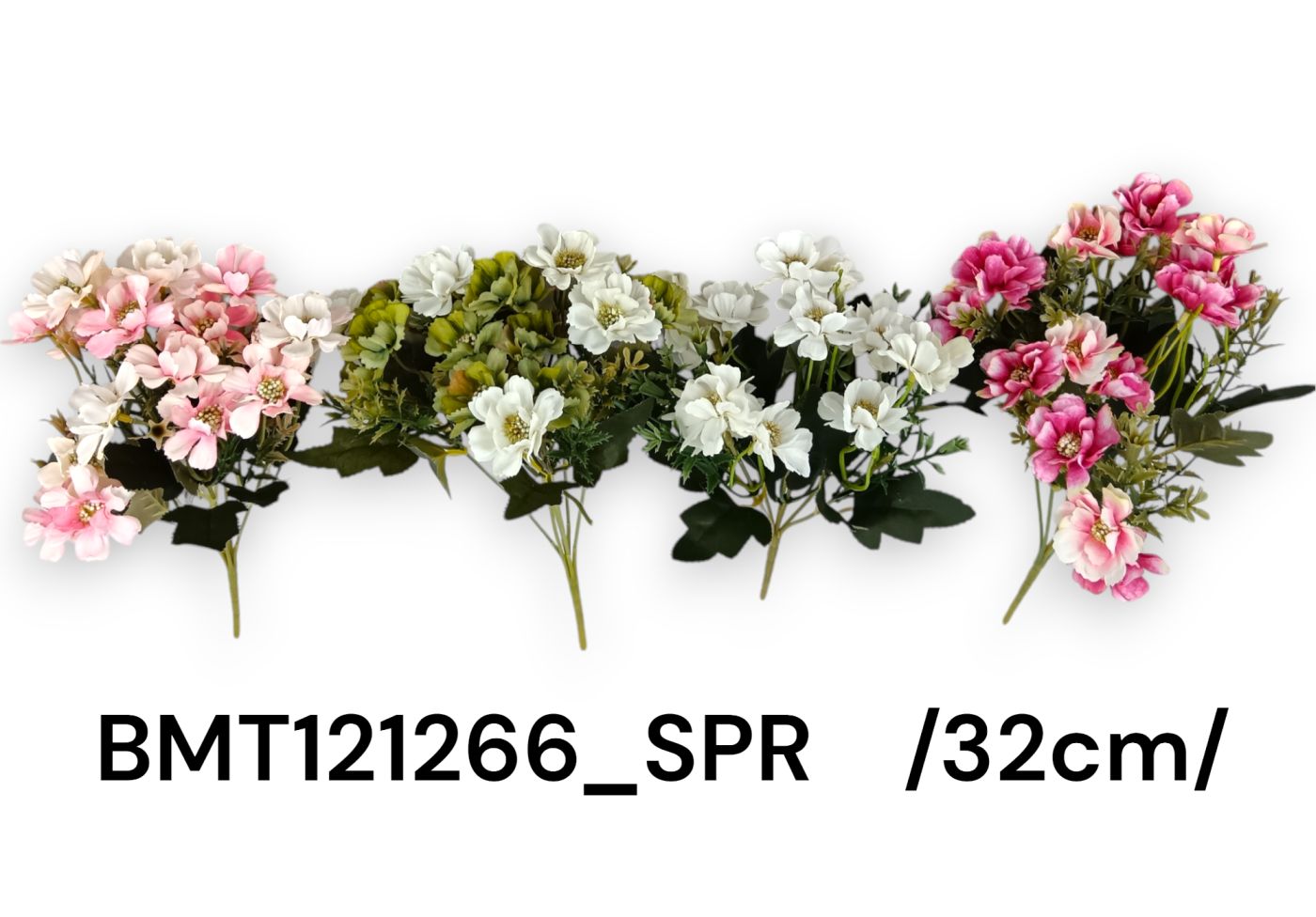 BMT121266_SPR