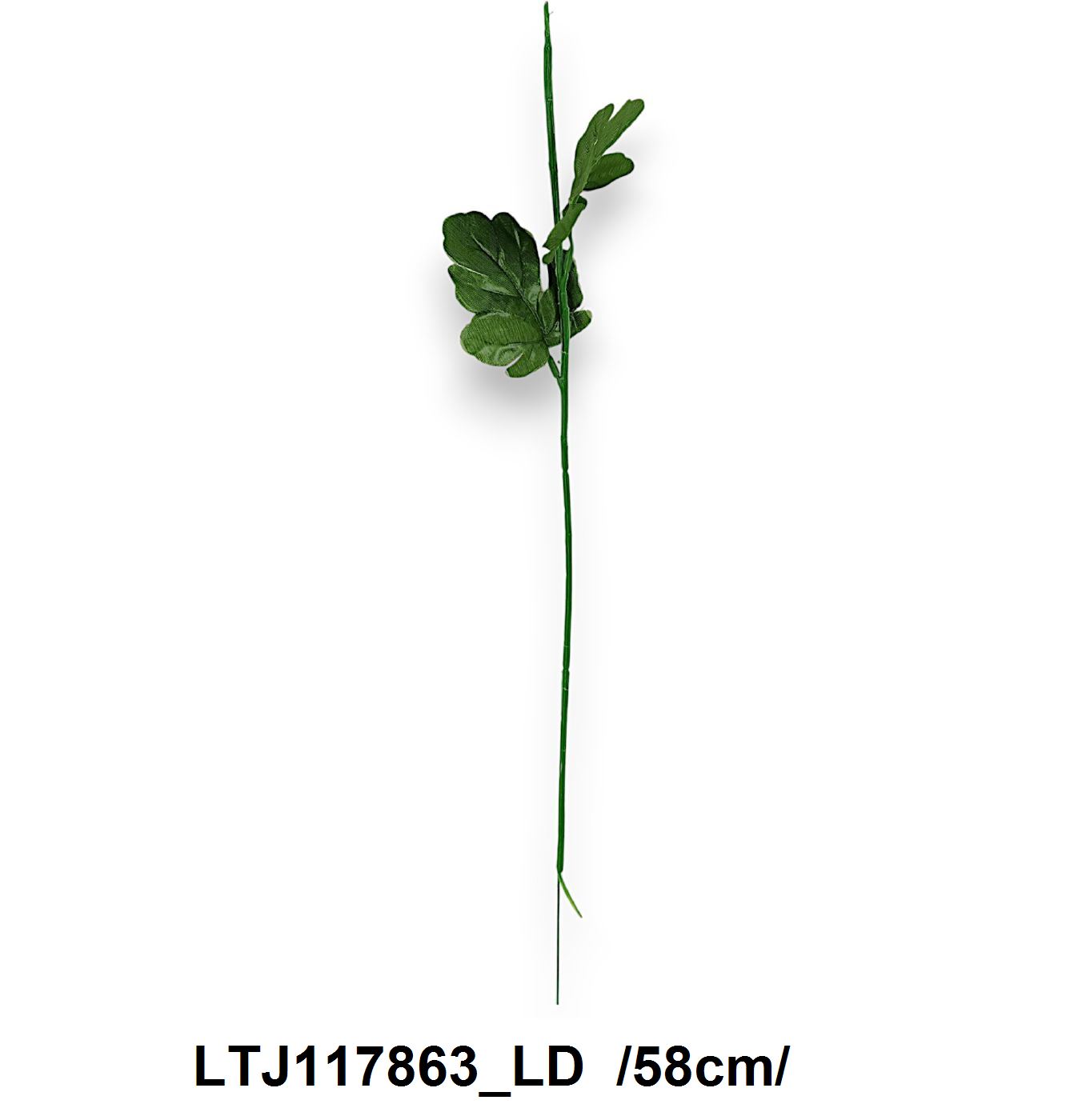 LTJ117863_LD
