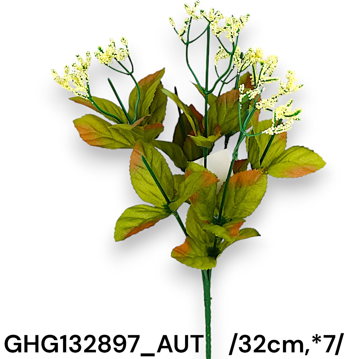 GHG132897_AUT