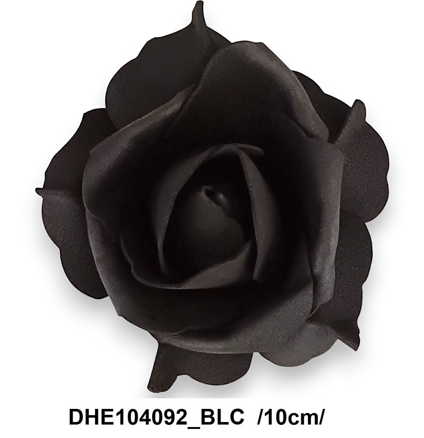 DHE104092_BLC