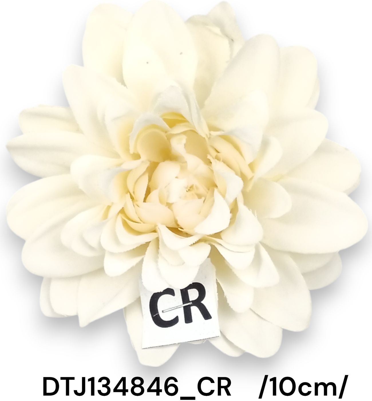 DTJ134846_CR