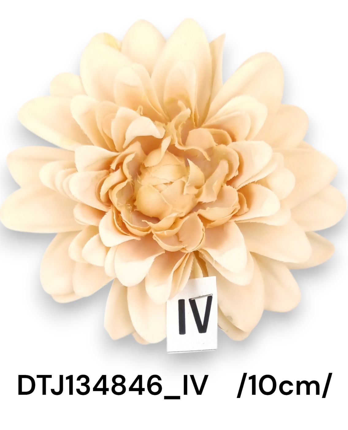 DTJ134846_IV