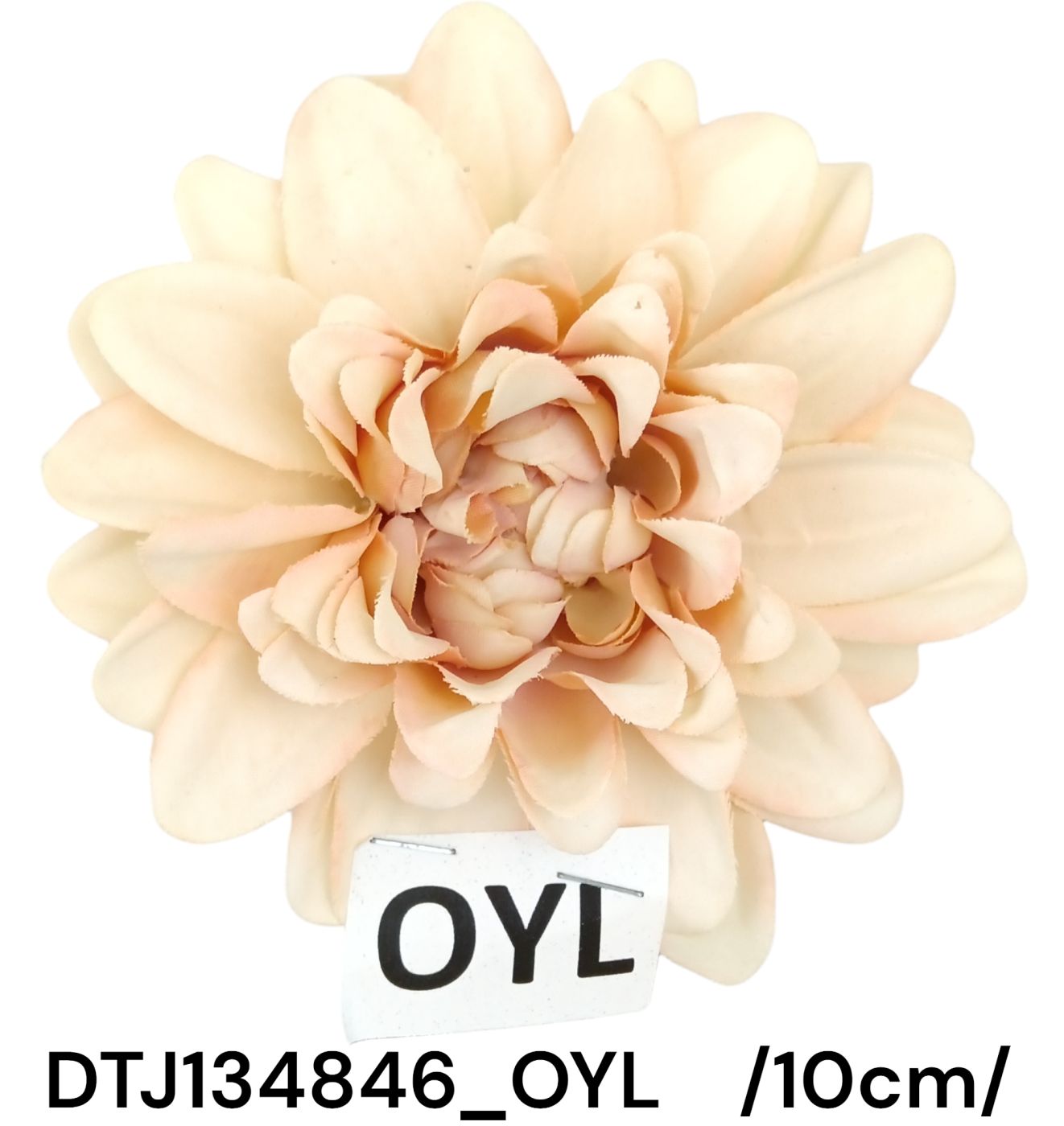 DTJ134846_OYL