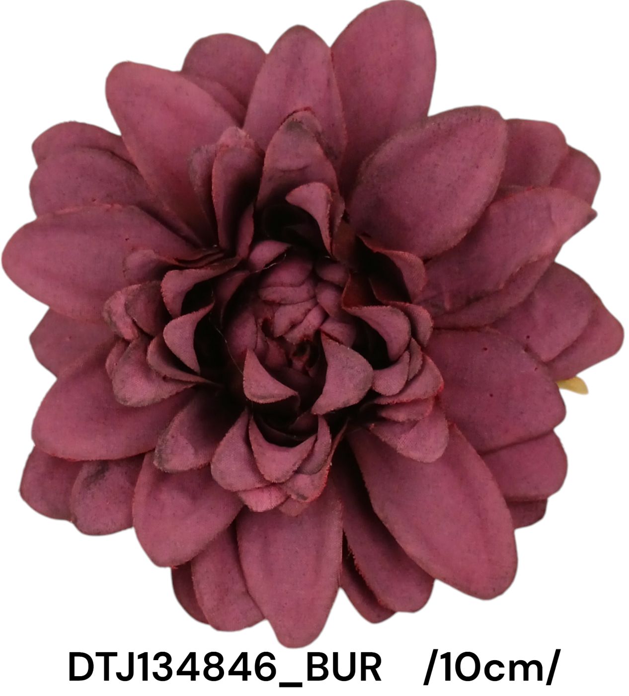 DTJ134846_BUR
