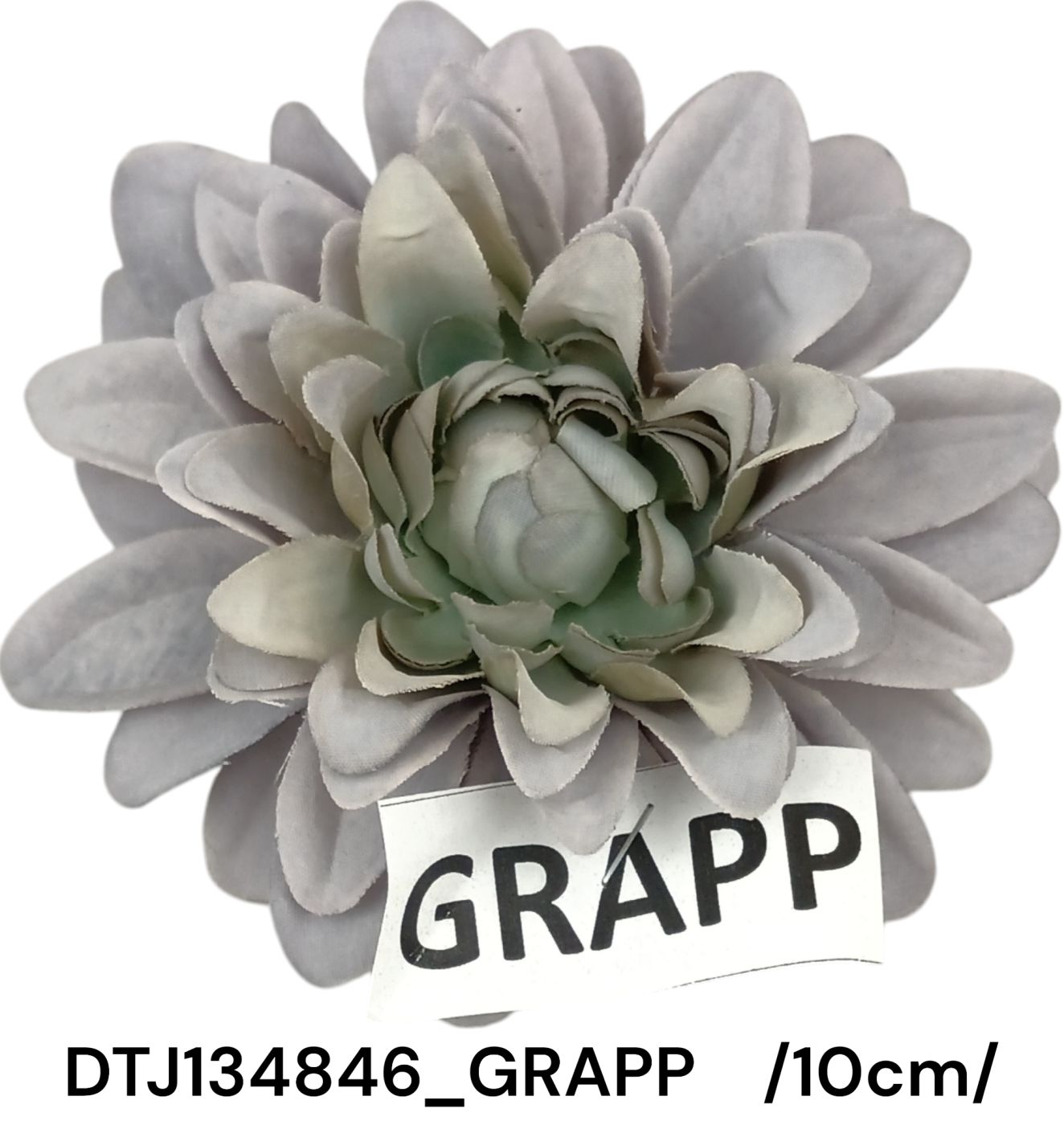 DTJ134846_GRAPP