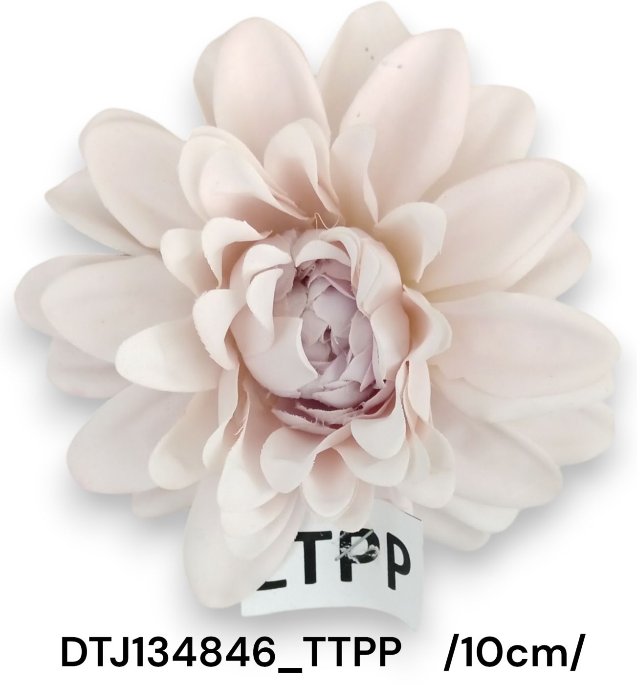 DTJ134846_TTPP