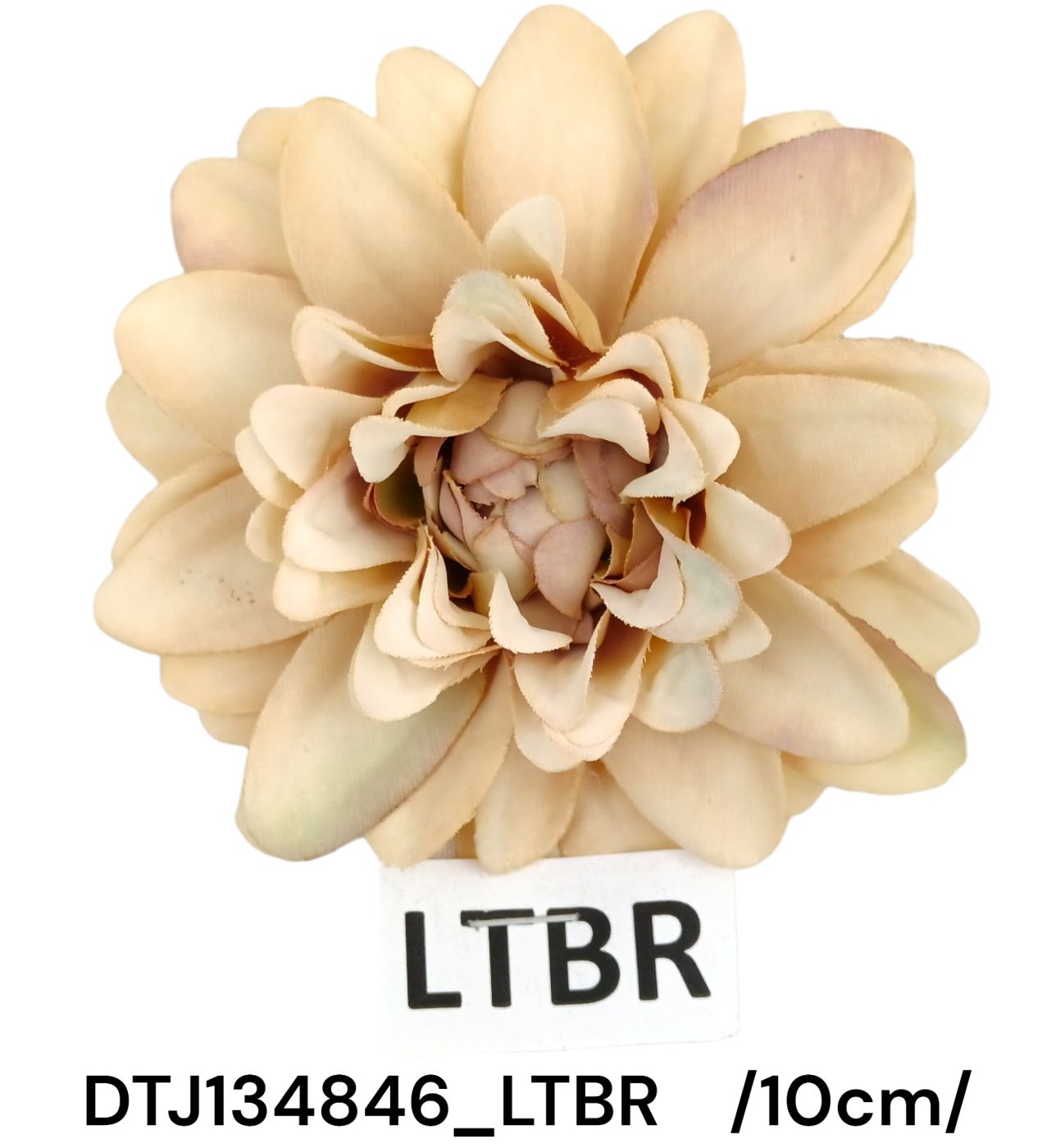 DTJ134846_LTBR