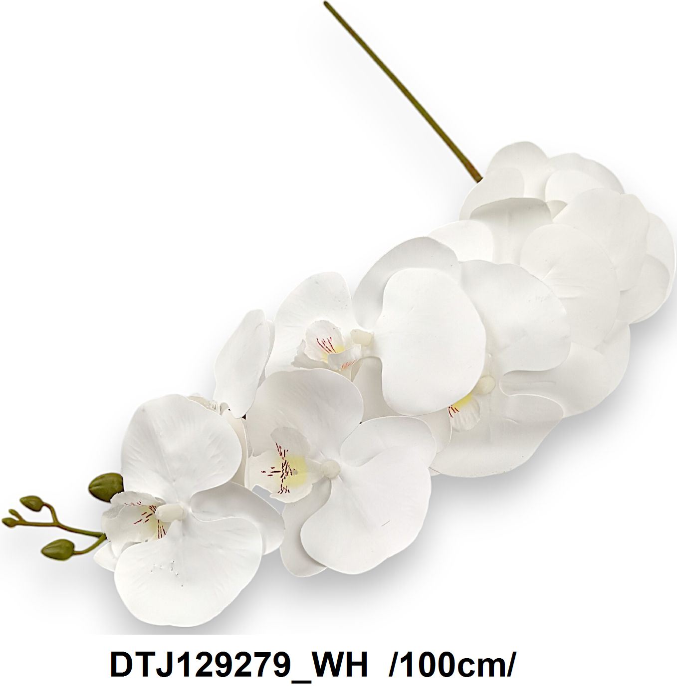 DTJ129279_WH