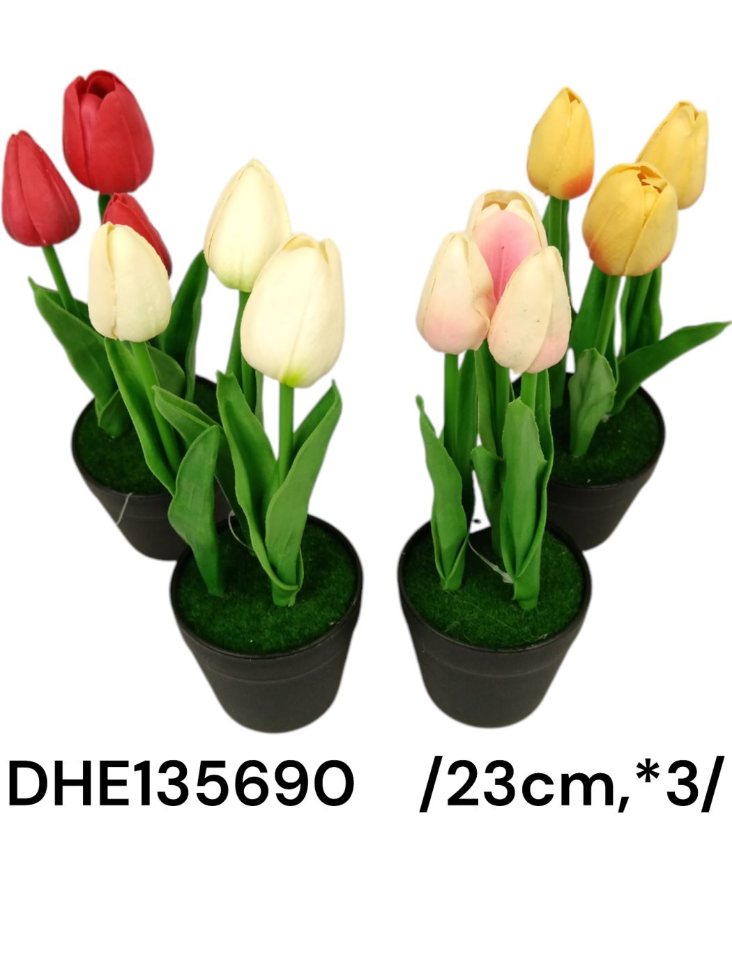 DHE135690