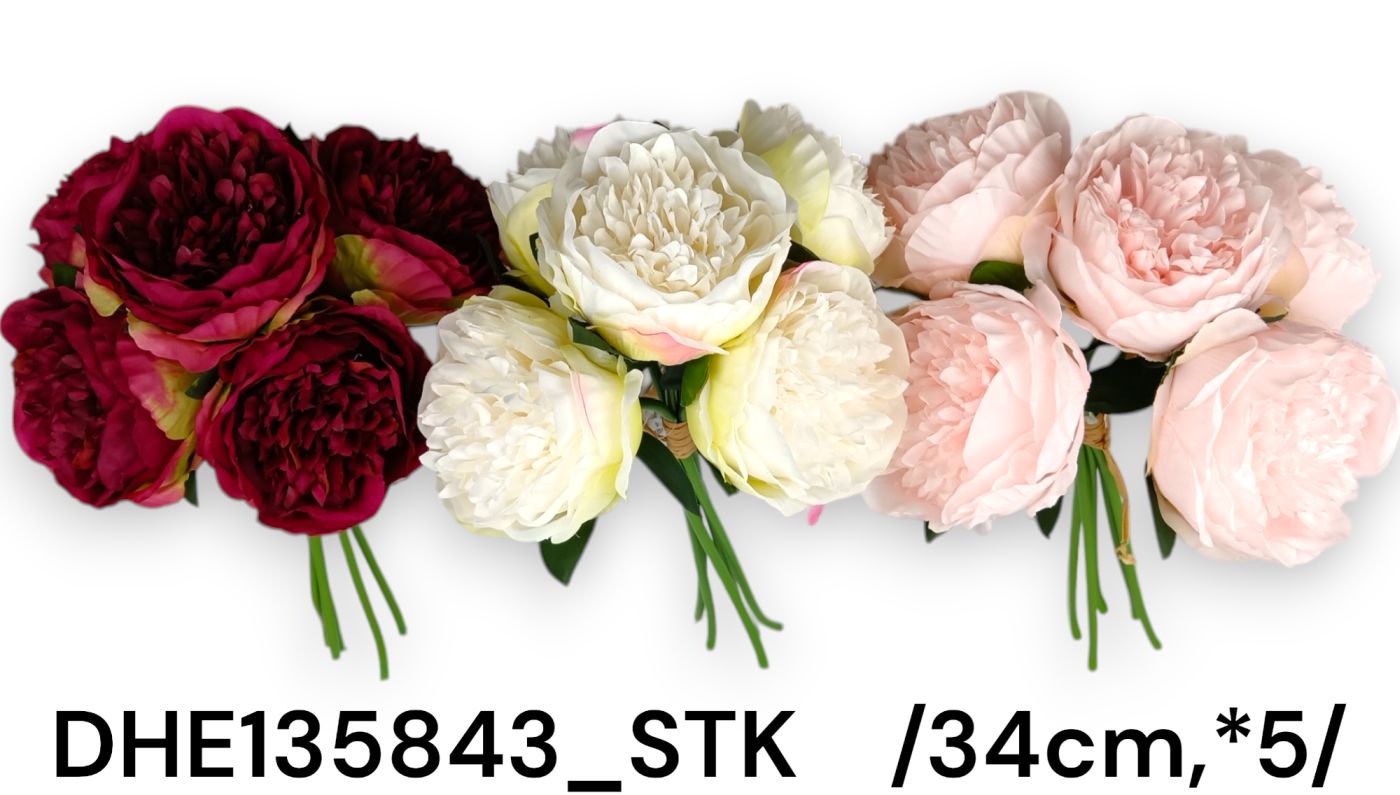 DHE135843_STK