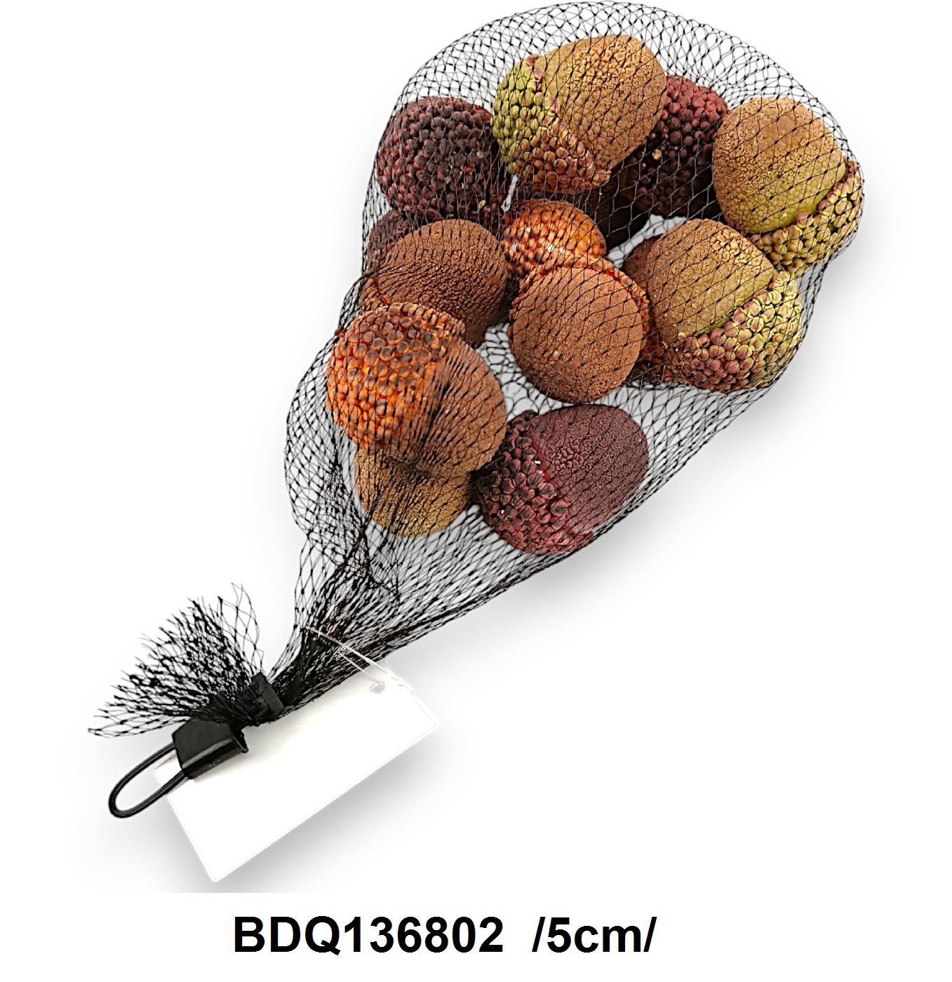 BDQ136802
