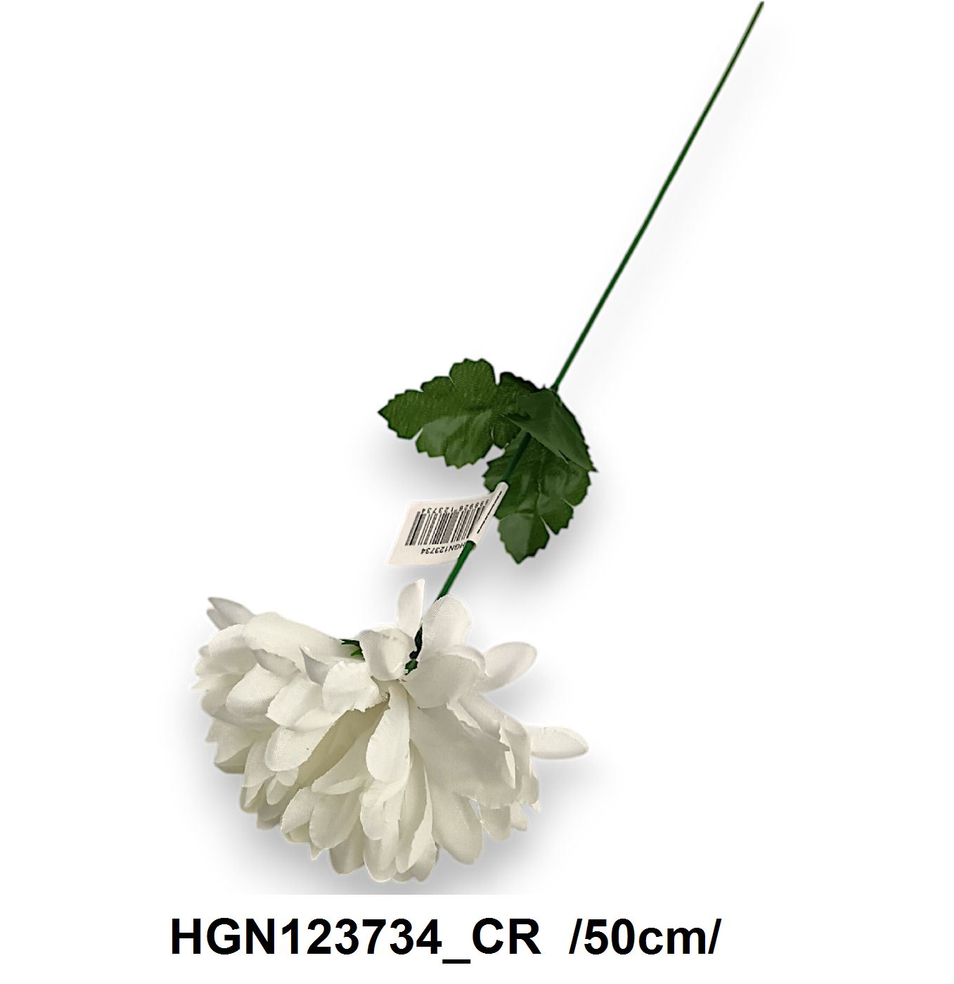 HGN123734_CR