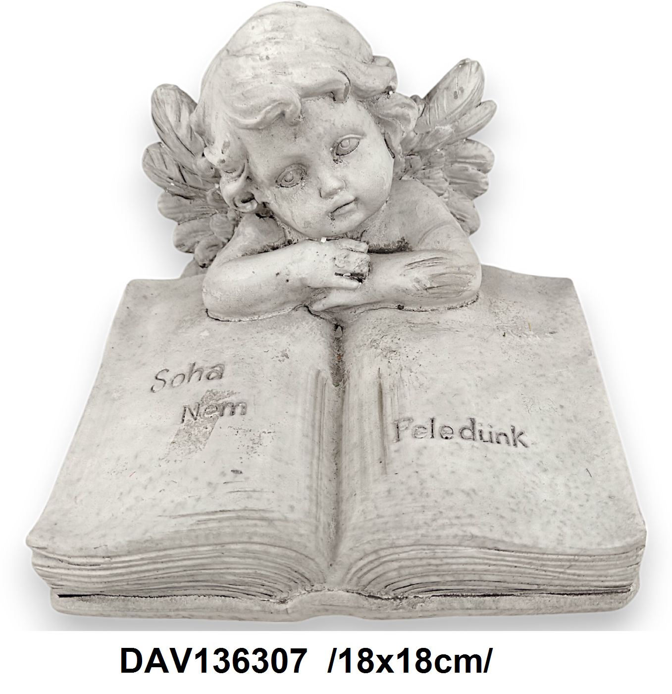 DAV136307