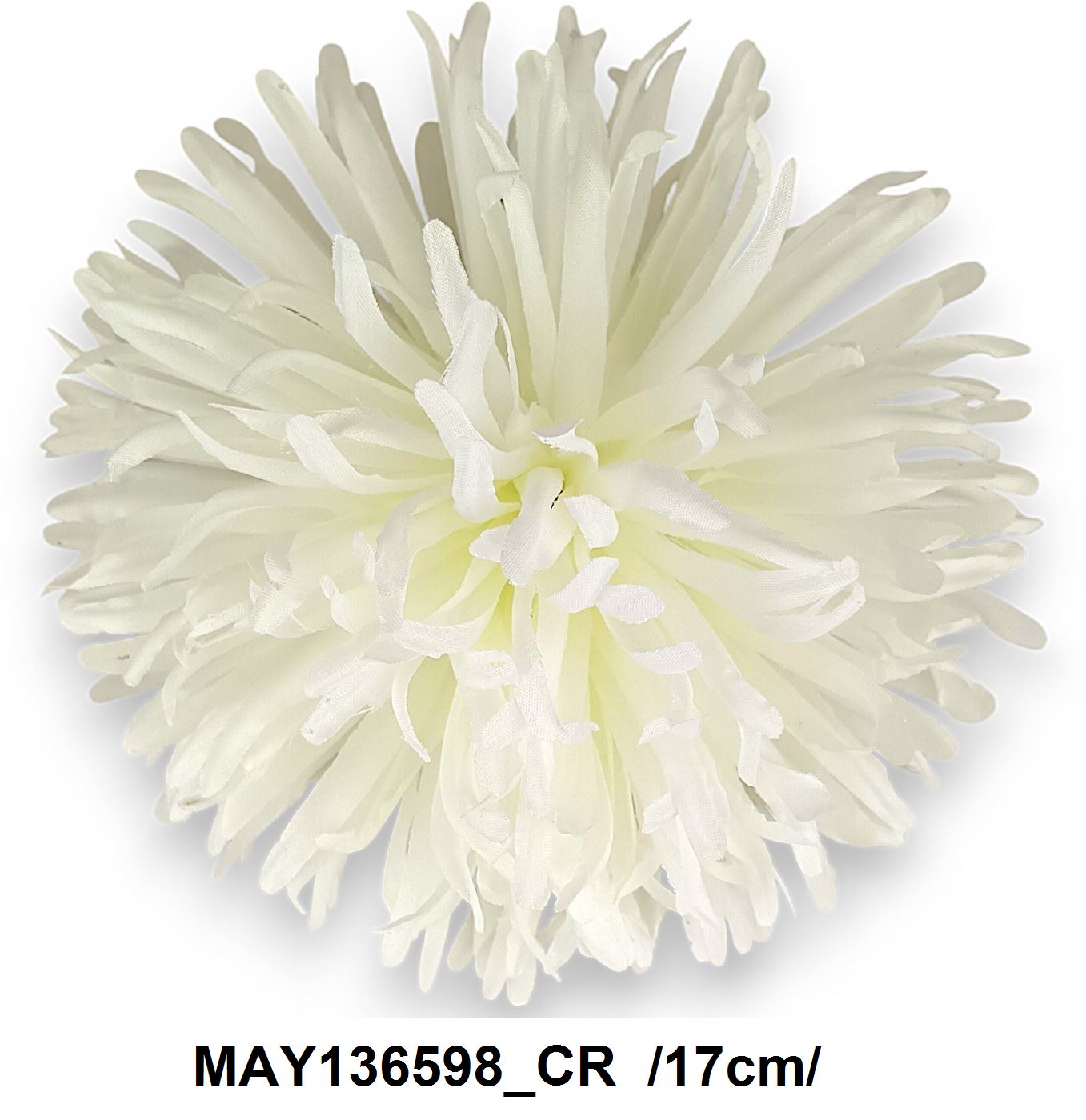MAY136598_CR