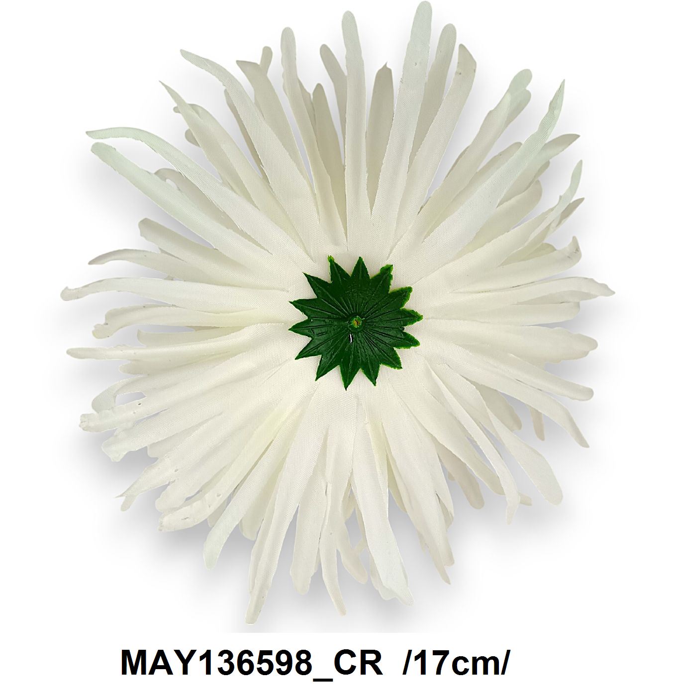 MAY136598_CR