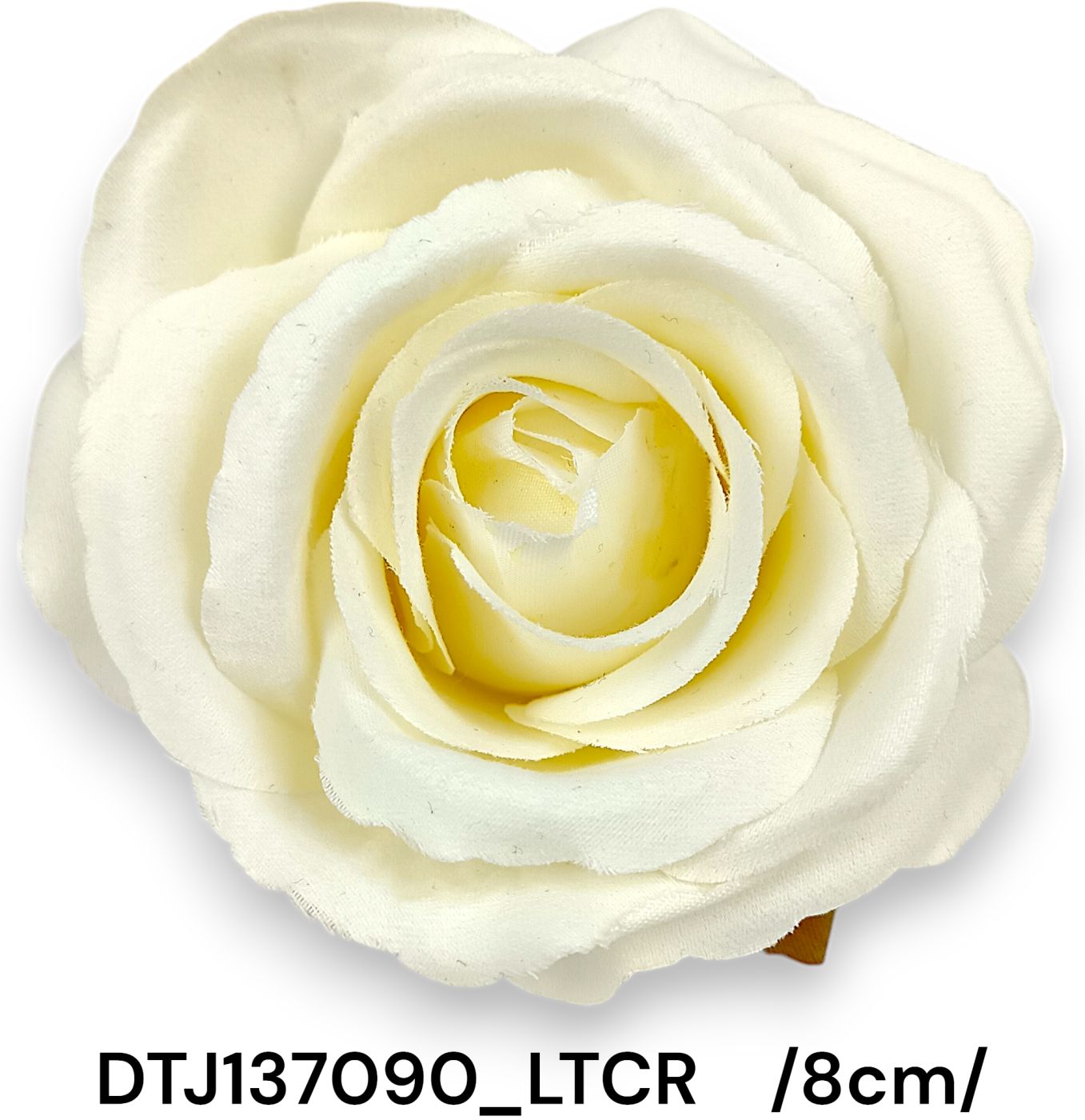 DTJ137090_LTCR