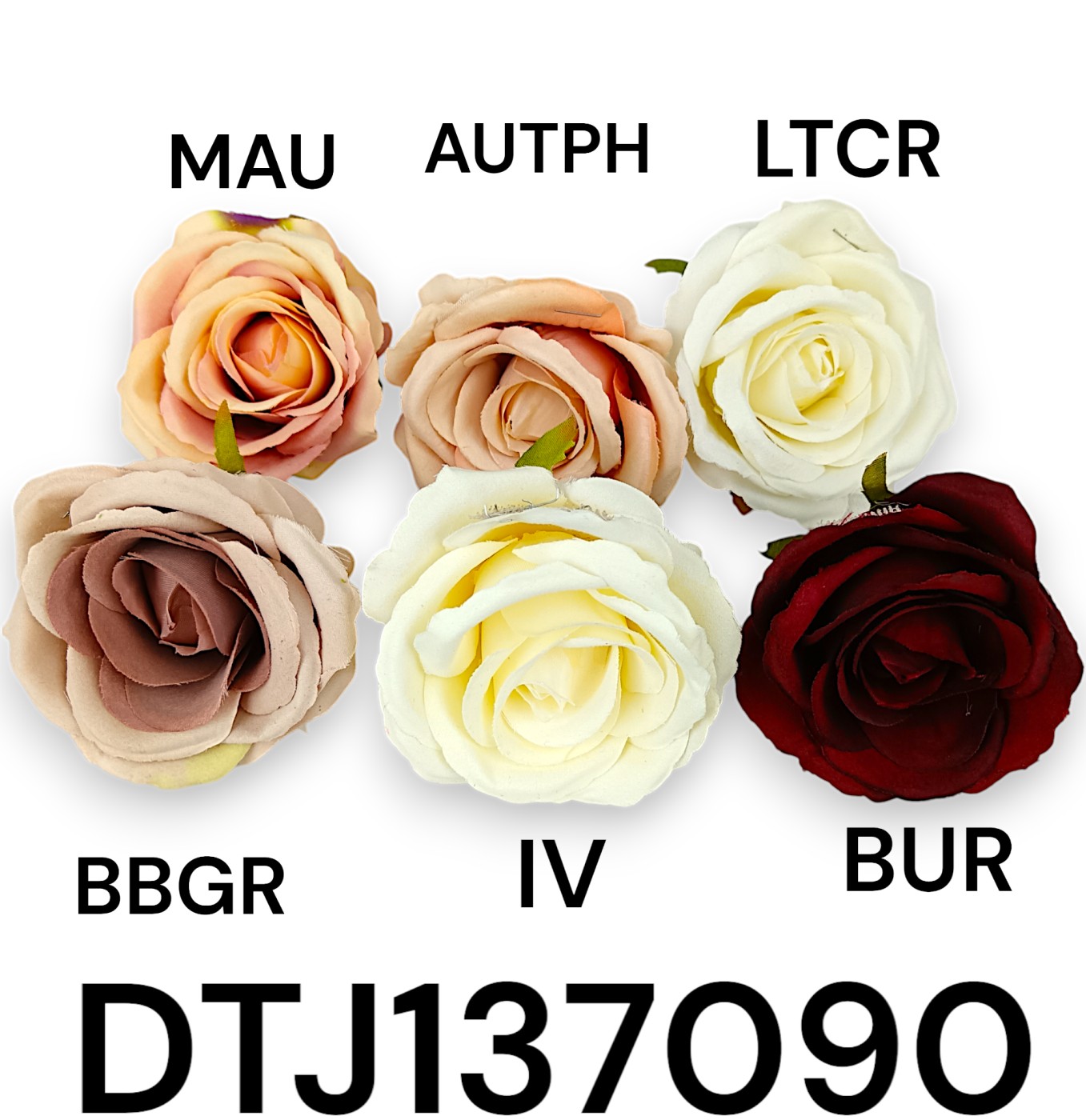 DTJ137090_LTCR