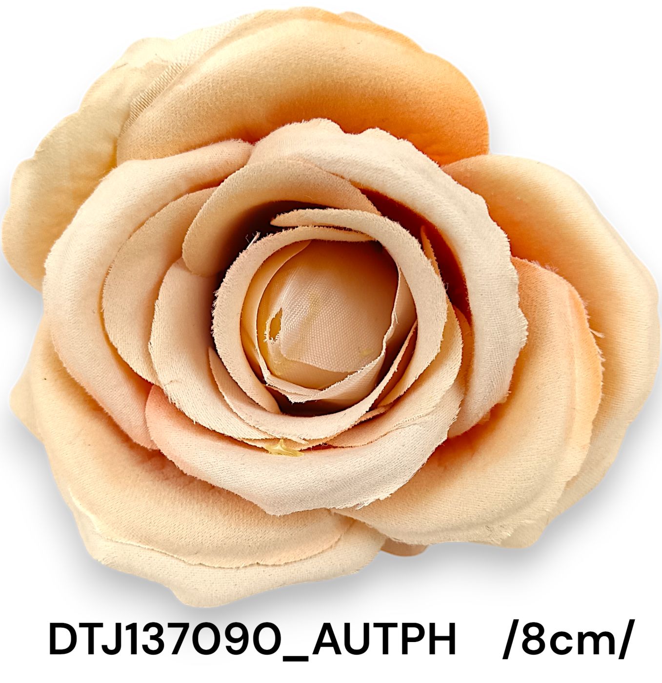 DTJ137090_AUTPH