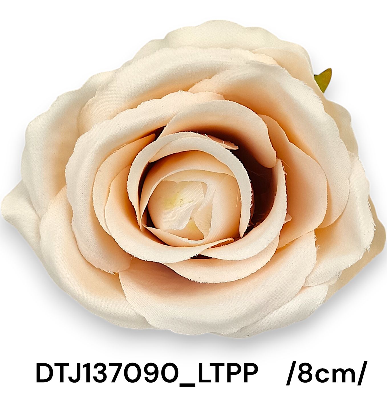 DTJ137090_LTPP